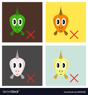 Set of flat aquarium fish silhouette colorful vector image