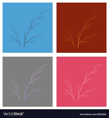 Set of flat dill isolated hand drawing flavoring vector image