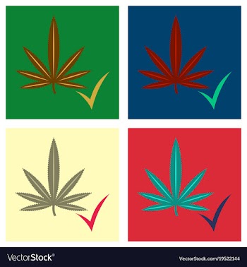 Set of flat hand drawn color botanical of hemp vector image