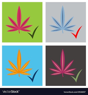 Set of flat hand drawn color botanical of hemp vector image