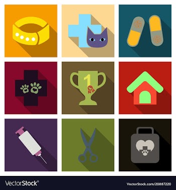 Set of flat icons veterinary science vector image