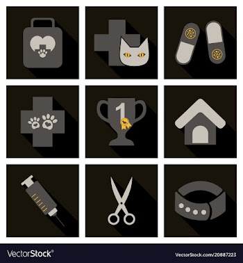 Set of flat icons veterinary science vector image