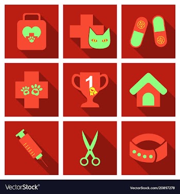 Set of flat icons veterinary science vector image
