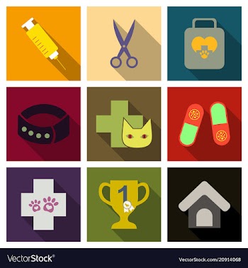 Set of flat icons veterinary science vector image
