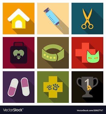 Set of flat icons veterinary science vector image