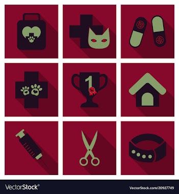Set of flat icons veterinary science vector image