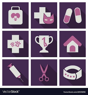 Set of flat icons veterinary science vector image