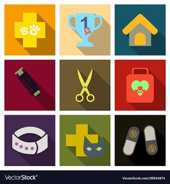 Set of flat icons veterinary science vector image