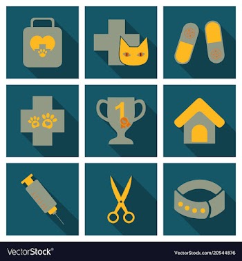 Set of flat icons veterinary science vector image