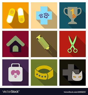 Set of flat icons veterinary science vector image