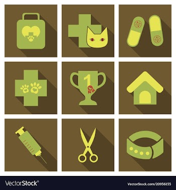 Set of flat icons veterinary science vector image