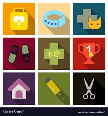 Set of flat icons veterinary science vector image