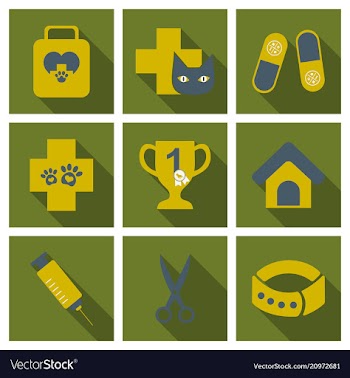 Set of flat icons veterinary science vector image