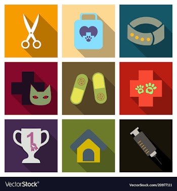 Set of flat icons veterinary science vector image