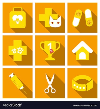 Set of flat icons veterinary science vector image