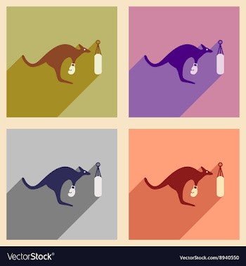 Set of flat icons with long shadow kangaroo boxer vector image