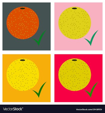 Set of flat orange whole of orange vector image