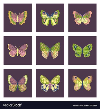 Set of flat shading style icon butterfly vector image