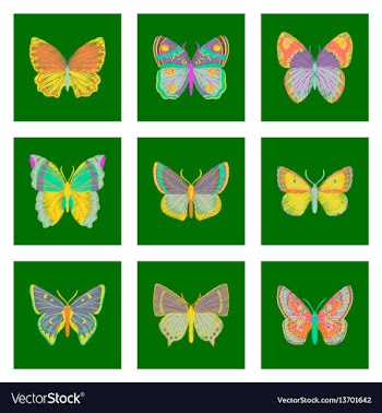 Set of flat shading style icon butterfly vector image