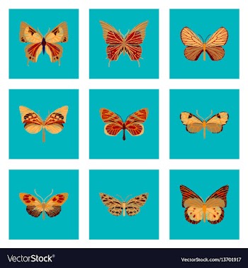 Set of flat shading style icon butterfly vector image