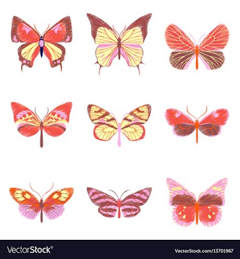 Set of flat shading style icon butterfly vector image