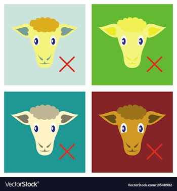 Set of flat sheep to fall asleep vector image