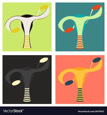 Set of flat showing female reproductive system vector image