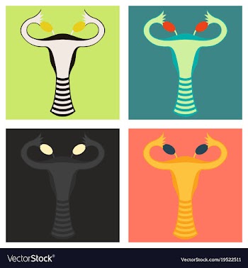 Set of flat showing female reproductive system vector image