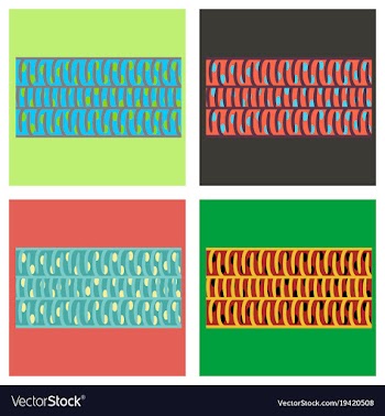 Set of flat showing type of muscle cells vector image