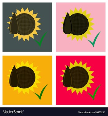 Set of flat sunflowers and seeds symbol isolated vector image