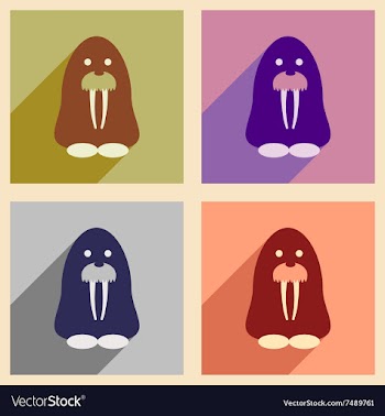 Set of flat web icons with long shadow walrus vector image