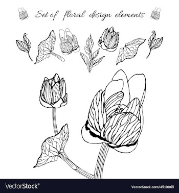 Set of floral elements vector image