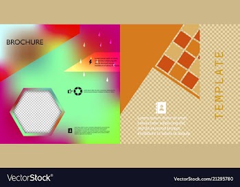 Set of flyer layout template brochure background vector image