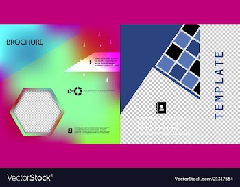 Set of flyer layout template brochure background vector image