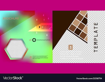 Set of flyer layout template brochure background vector image