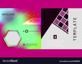 Set of flyer layout template brochure background vector image