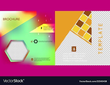 Set of flyer layout template brochure background vector image