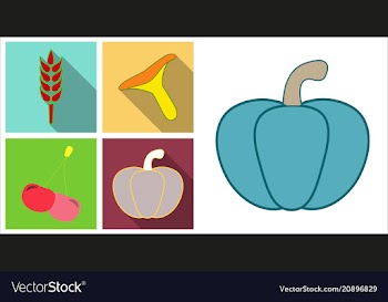 Set of fruits and vegetables vector image