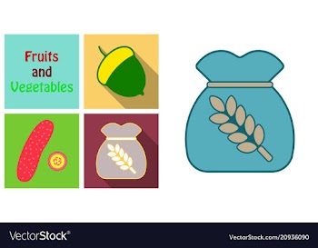 Set of fruits and vegetables vector image