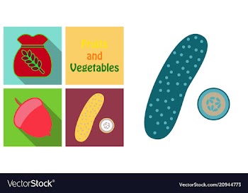 Set of fruits and vegetables vector image