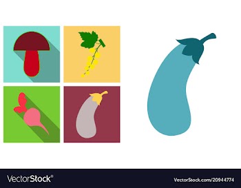 Set of fruits and vegetables vector image