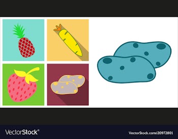 Set of fruits and vegetables vector image