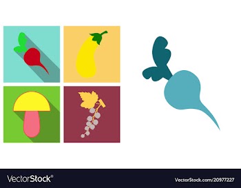 Set of fruits and vegetables vector image