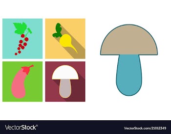 Set of fruits and vegetables vector image