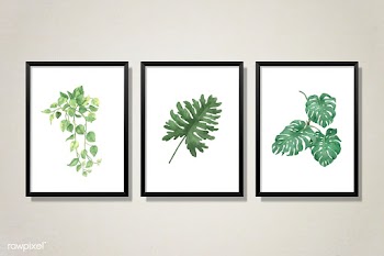 Set of gallery frames | Free stock vector - 584175