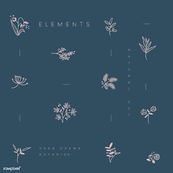 Set of hand drawn botanical elements vector | Free stock vector - 523366