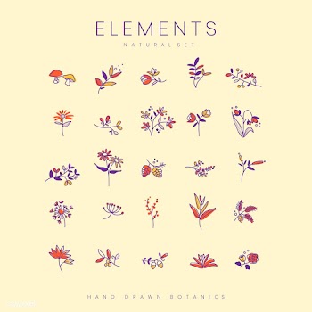 Set of hand drawn botanical elements vector | Free stock vector - 523369
