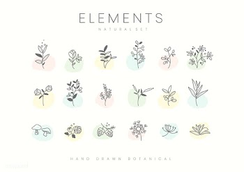 Set of hand drawn botanical elements vector | Free stock vector - 523374