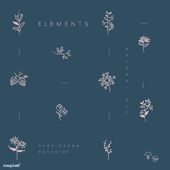 Set of hand drawn botanical elements vector | Free stock vector - 523377