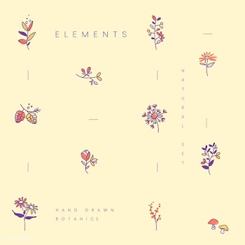 Set of hand drawn botanical elements vector | Free stock vector - 523386
